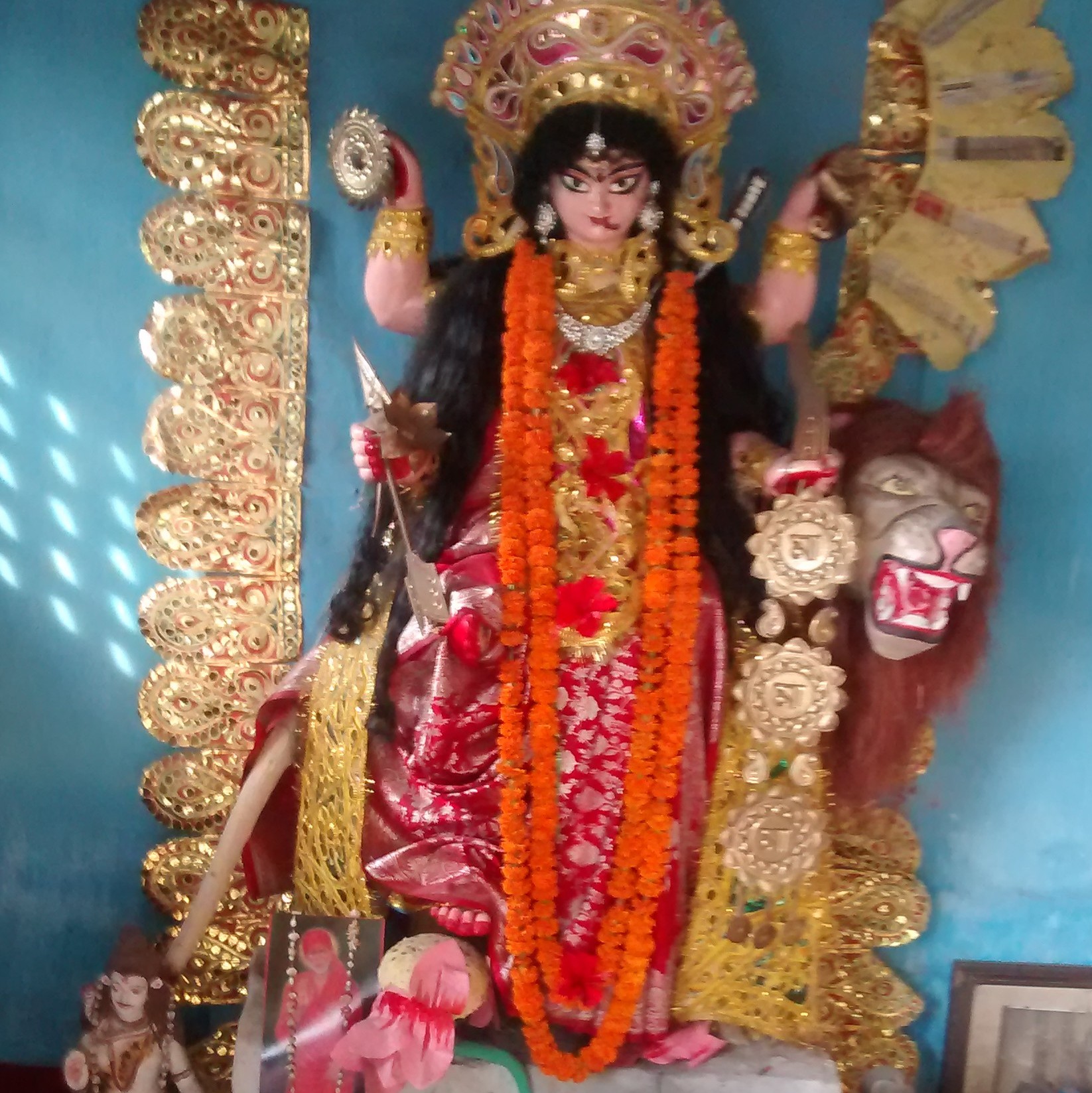 Jagadhatri Puja through the years