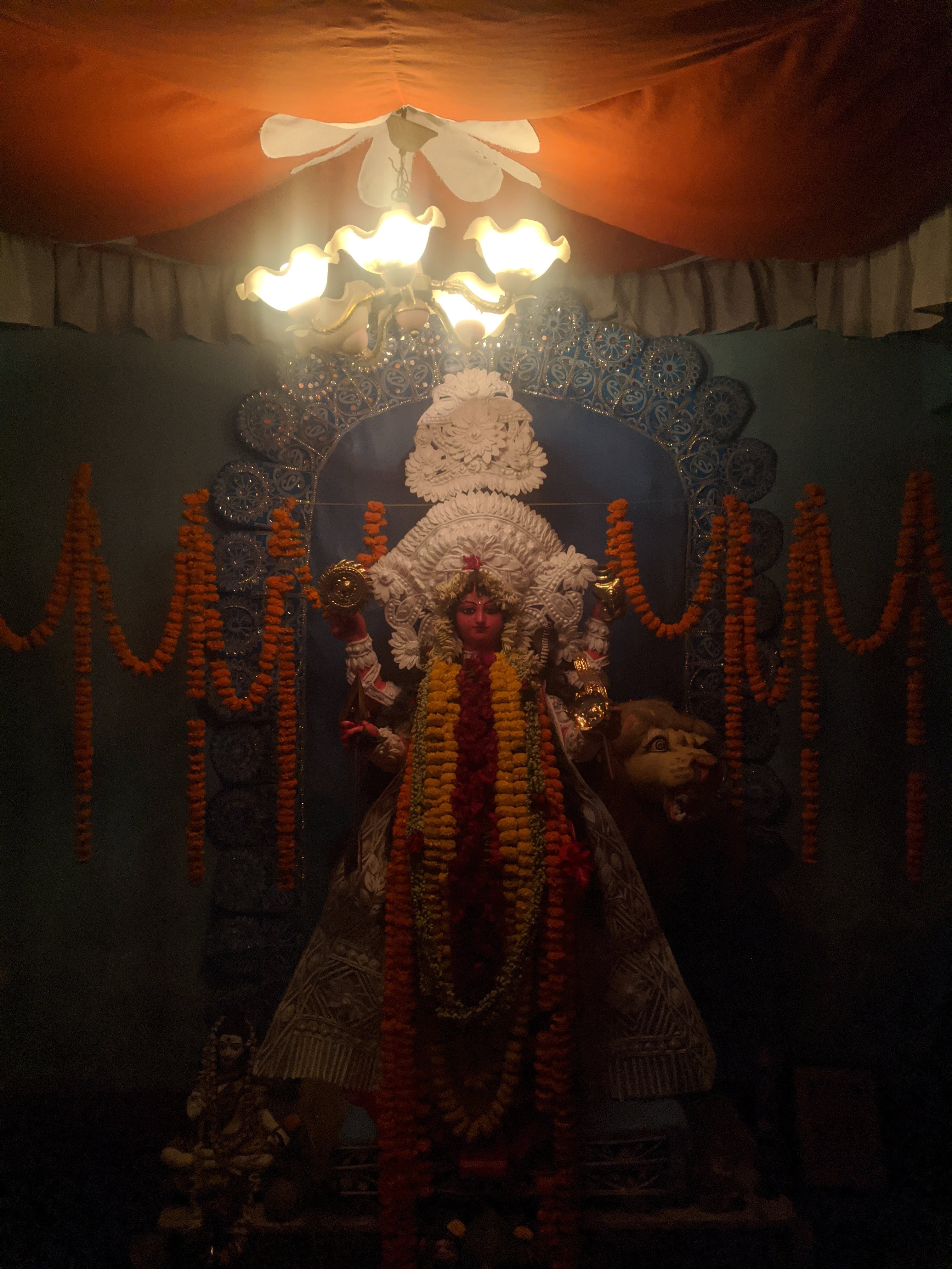 Jagadhatri Puja through the years